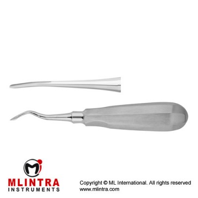 Luxator Rectal Scissor Curved Stainless Steel, Tip Size 4 mm